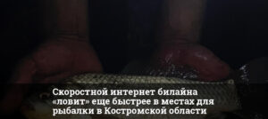 1759463880 thumb