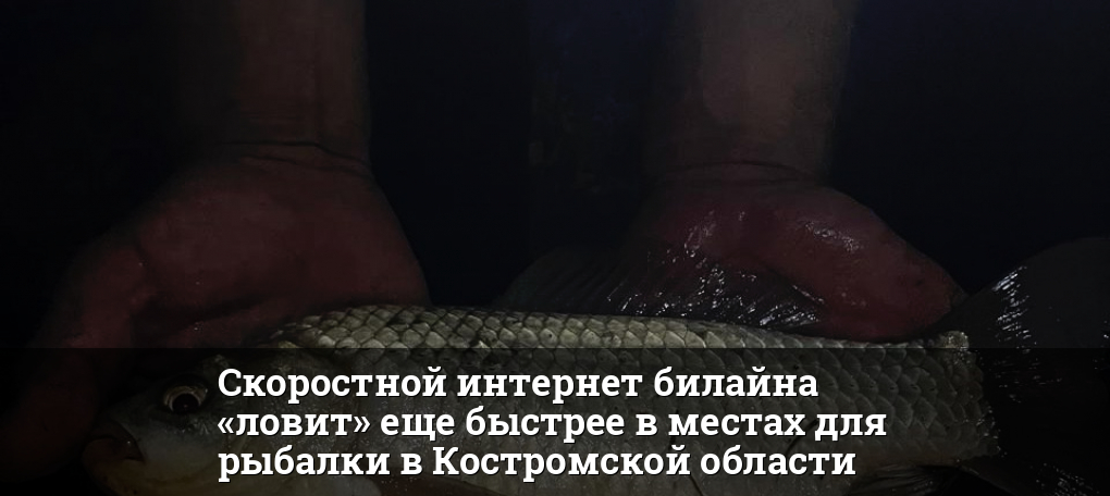 1759463880 thumb