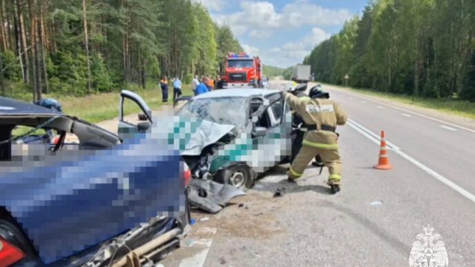 photo 2025 07 08 11 48 35