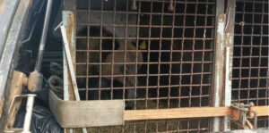 skrinshot 21 10 2025 081546