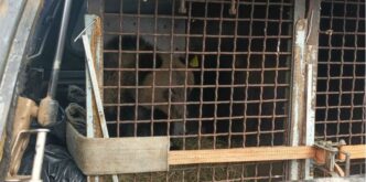 skrinshot 21 10 2025 081546