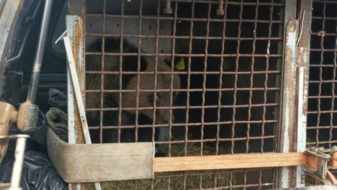 skrinshot 21 10 2025 081546